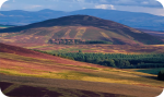 Online Borders image courtesy of www.ourscottishborders.com